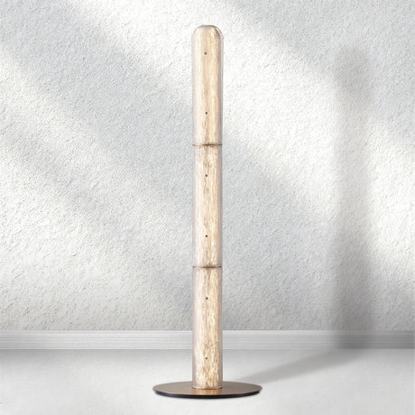 Swaroevan Eclipse Floor Lamps