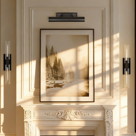 Arto Picture Light 18"W