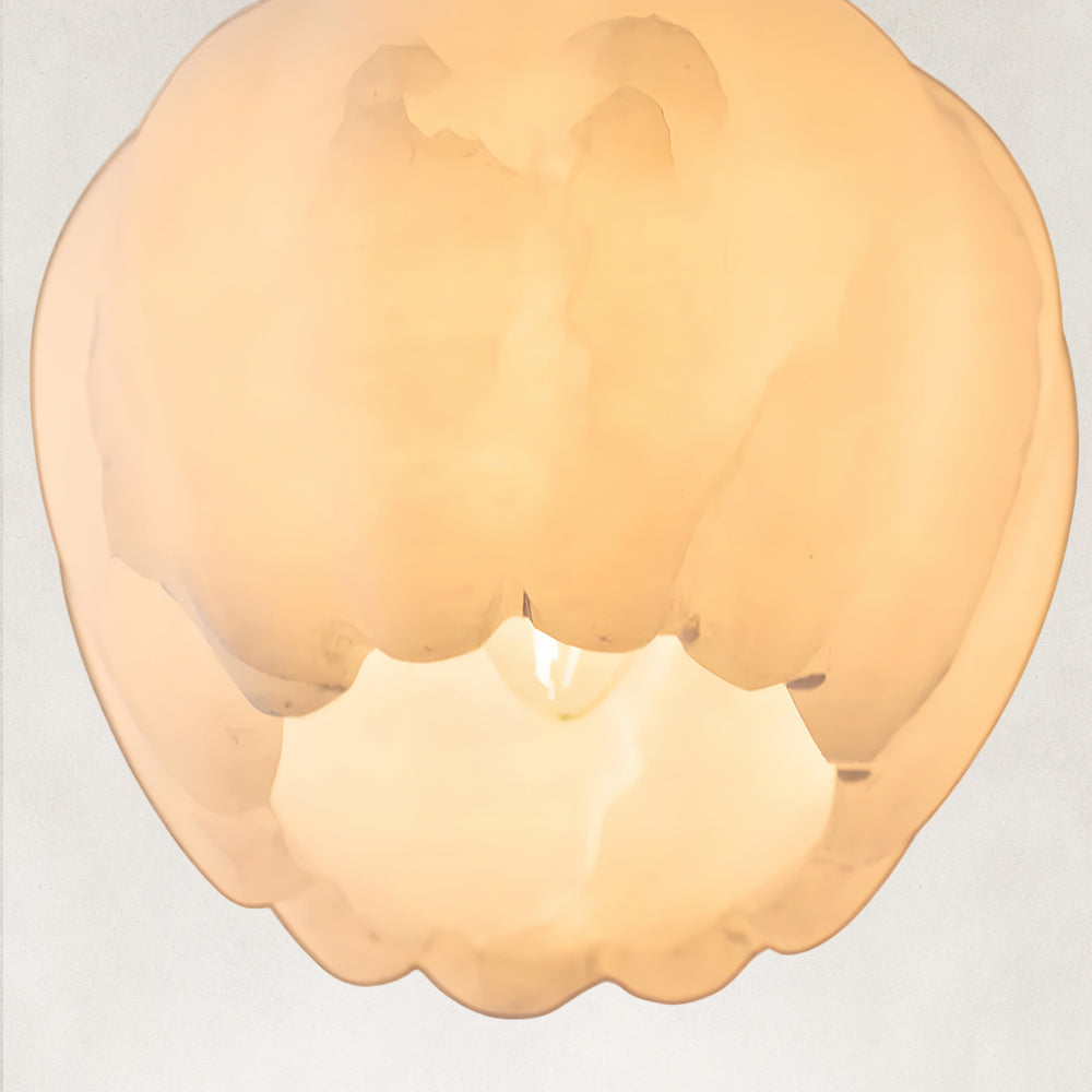 Details Image