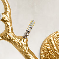 Details Thumb