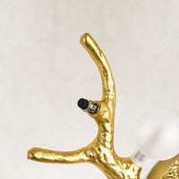Details Thumb