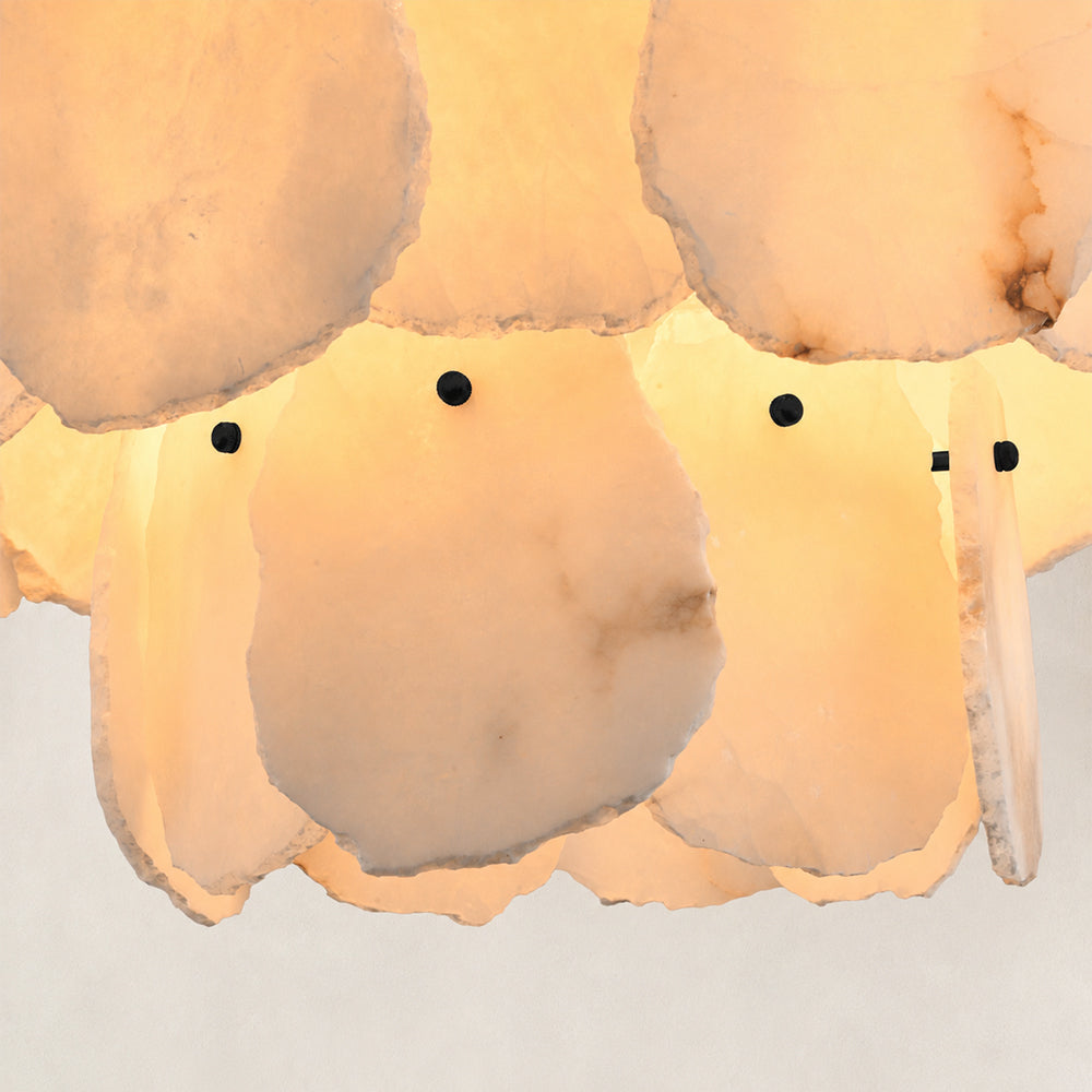 Details image