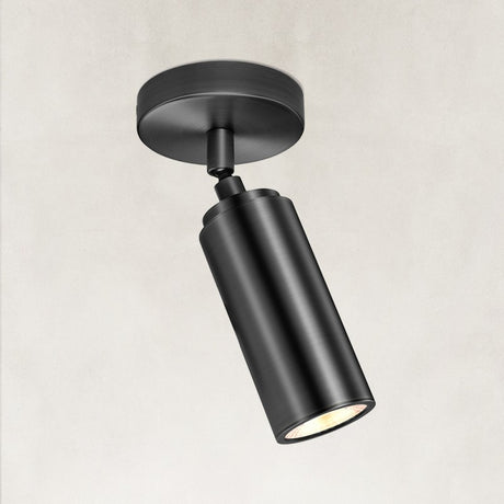 Muse Adjustable Spot Downlight Flush Mount 2.8"D