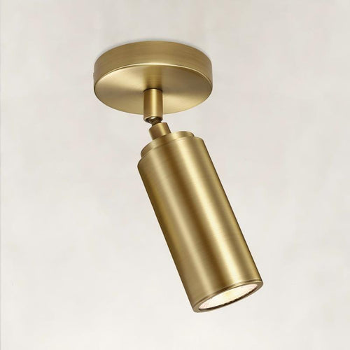 Muse Adjustable Spot Downlight Flush Mount 2.8