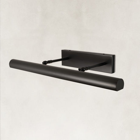 Muse Picture Light 24"W