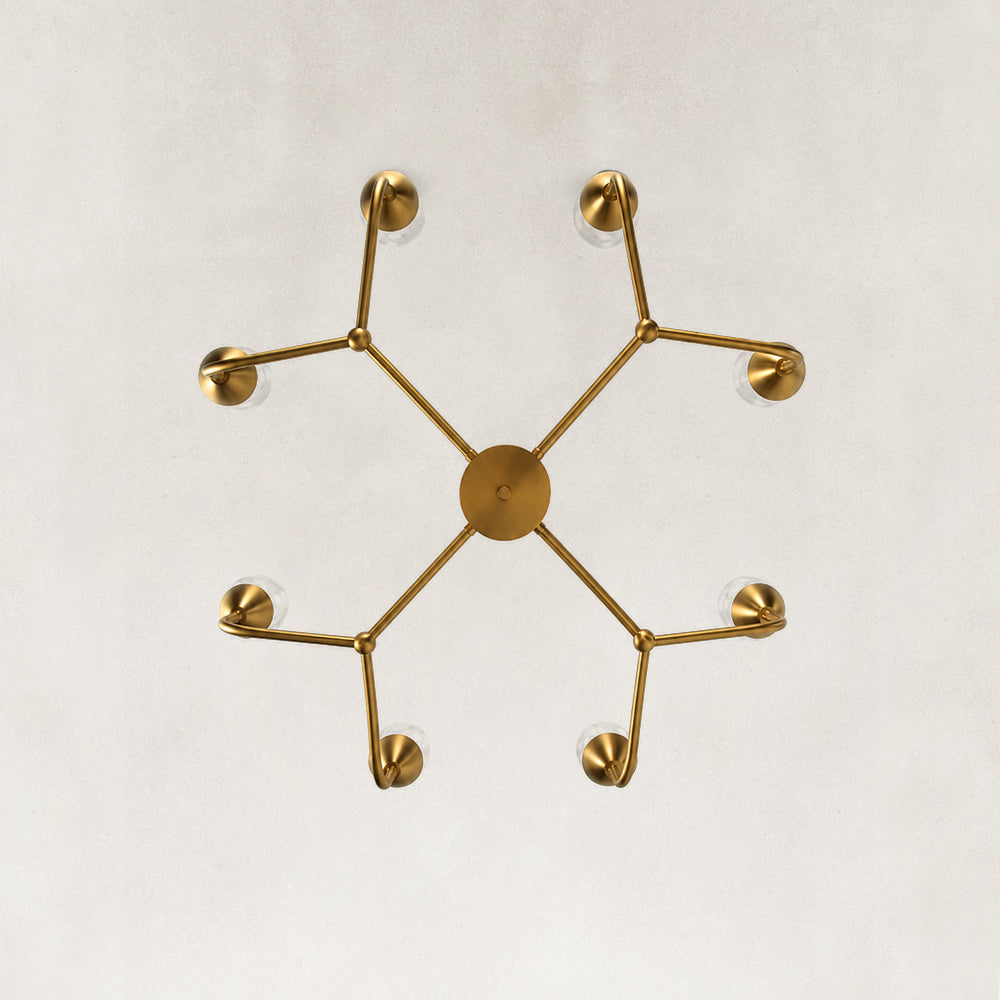 Details Image