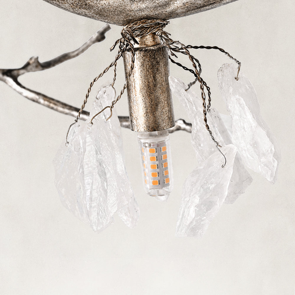 Details image