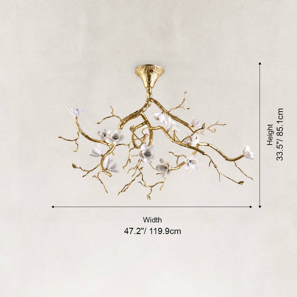 Specifications image